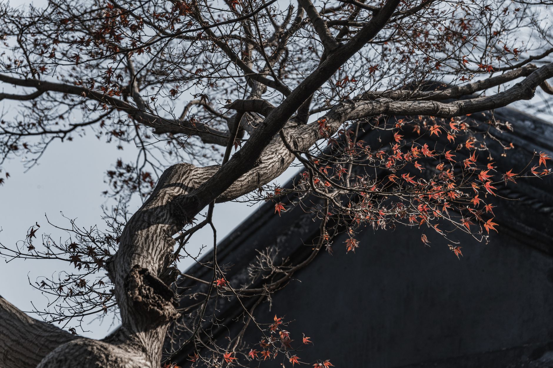 Traditional Branch-Based Registration traditional branchbased