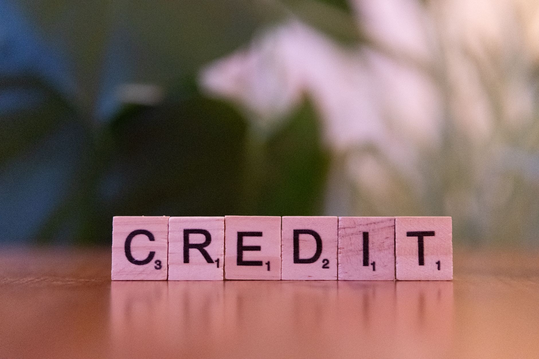 Credit Score Thresholds credit score